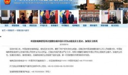 南京游客爆料事件视频,揭秘现场冲突背后的真相