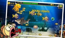 饥饿鲨2最新鲨鱼爆料,最新鲨鱼种类大曝光，海洋霸主再升级！