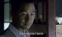 劫中劫全集在线观看,揭秘生死轮回的惊险旅程